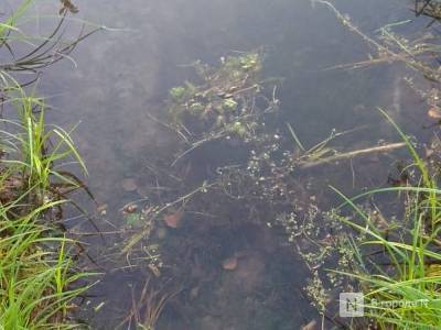 Двое молодых людей утонули в реке Вахтан в Шахунском районе