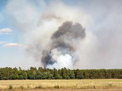 В Волгоградской области огонь с поля перекинулся на жилье и охватил 10 домов и построек