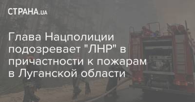 Глава Нацполиции подозревает "ЛНР" в причастности к пожарам в Луганской области