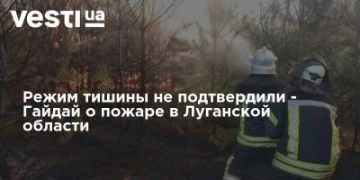 Режим тишины не подтвердили - Гайдай о пожаре в Луганской области