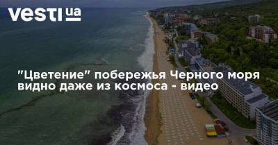 "Цветение" побережья Черного моря видно даже из космоса - видео