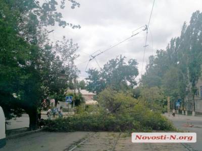 ЧП в центре Николаева: ураганным ветром сорвало ветку дерева, которая оборвала трамвайные провода