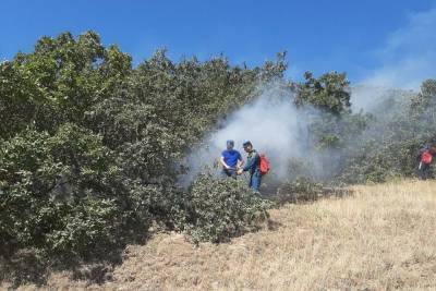Площадь крупных лесных пожаров в Дагестане сократилась до 1,5 га