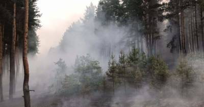 Боевики пообещали ввести режим "тишины" на время тушения пожара в Луганской области