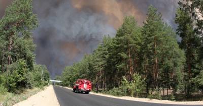 Масштабный лесной пожар в Луганской области показали с высоты птичьего полета (4 фото)