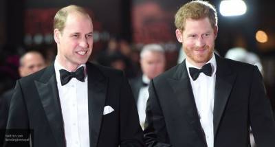 Принц Уильям и принц Гарри разделили средства благотворительного фонда своей матери