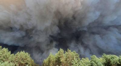 В Луганской области из-за масштабного пожара определена чрезвычайная ситуация регионального уровня