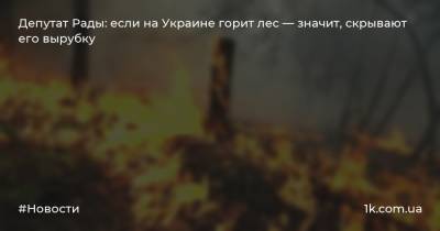 Депутат Рады: если на Украине горит лес — значит, скрывают его вырубку