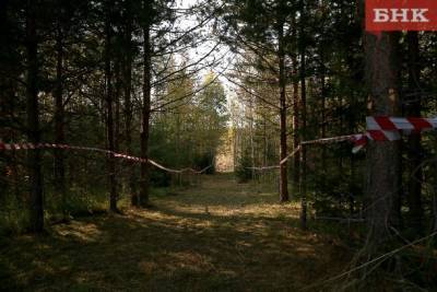 В Коми завершили расследование гибели работника лесозаготовки