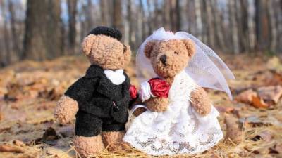 Из-за пандемии количество разводов в Петербурге сократилось