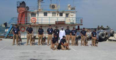 В ОАЭ полицейские научили собак искать больных COVID-19 с точностью до 92% | Мир | OBOZREVATEL