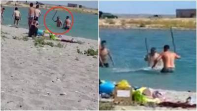 Все ради фотографии: нелюди на пляже избили палками и камнями детеныша тюленя (видео)