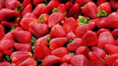 Эксперт оценила вред ягод для детей