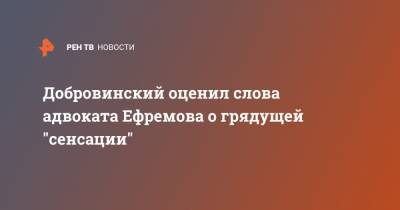 Добровинский оценил слова адвоката Ефремова о грядущей "сенсации"