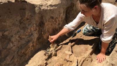 "Подобного еще не находили": археологи наткнулись на древнее сооружение