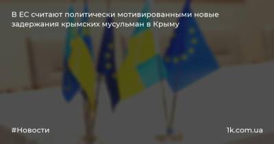В ЕС считают политически мотивированными новые задержания крымских мусульман в Крыму