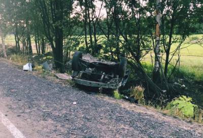 Во Всеволожском районе водитель погиб, врезавшись в дерево