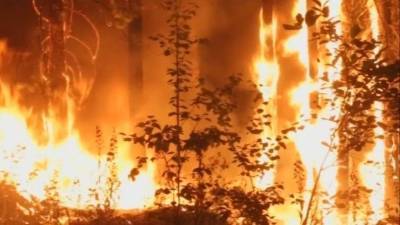 Повсюду тлеют пожары: как в Волгоградской области борются с огненной стихией