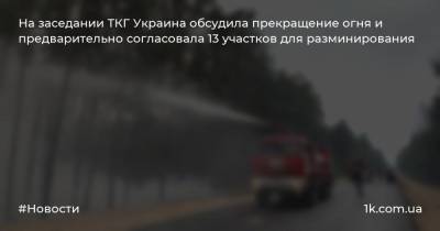 На заседании ТКГ Украина обсудила прекращение огня и предварительно согласовала 13 участков для разминирования