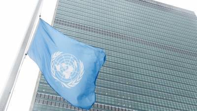 Совбез ООН отклонил резолюцию РФ по доставке гумпомощи в Сирию