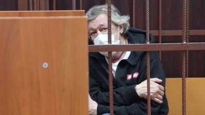 Защита Ефремова собирается добиваться в суде оправдания актера