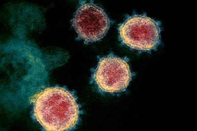 Найдены новые лекарства против коронавируса