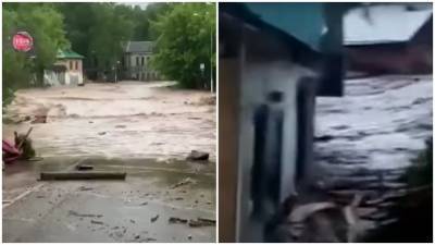 Потоп под Москвой: прорвало дамбу, снесло дома и деревья – видео