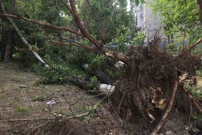 Буря в Ивановской области оставила без света более 11 тысяч человек
