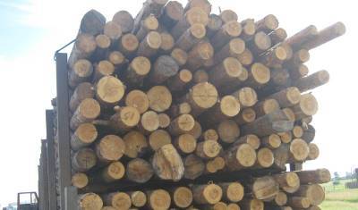 Десятки тонн тюменского дерева хотели вывезти в Китай незаконно