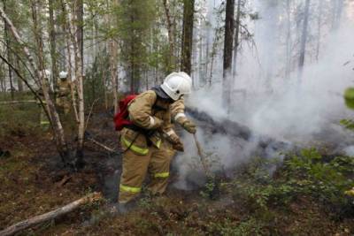 Потушить крупный лесной пожар в Бурятии помогут пожарные из Хабкрая