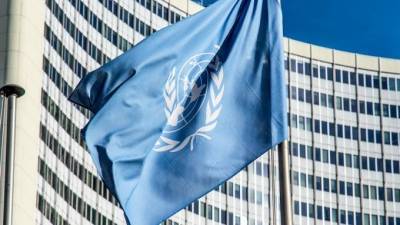 Совет Безопасности ООН не поддержал проект резолюции России о Сирии
