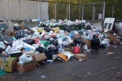 В Свердловской области планируется создать 17 мусоросортировочных комплексов