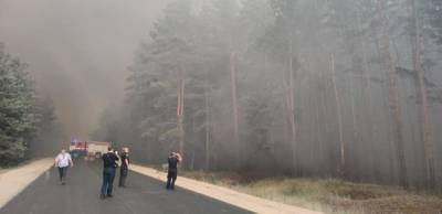 На Луганщине третьи сутки продолжается борьба с лесными пожарами: оперативная информация ГСЧС