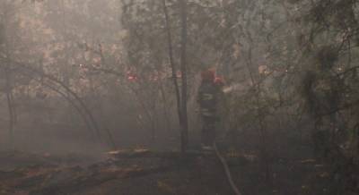 Лесной пожар на Луганщине имеет два очага, тушение осложняется порывистым ветром – ГСЧС