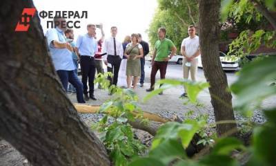 Мэрия Челябинска анонсировала вырубку деревьев на улице Труда