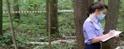 В тульском лесу обнаружили труп мужчины, привязанный скотчем к дереву