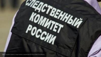 СК Москвы проводит обыски у "Открытой России" и депутата Юлии Галяминой