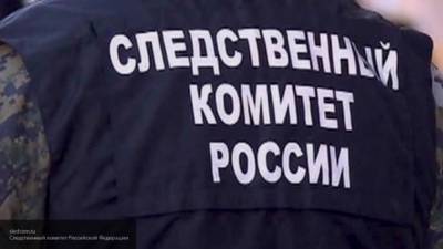 СК проводит обыски у членов организации "Открытая Россия"