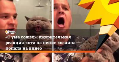 «Сума сошел»: уморительная реакция кота напение хозяина попала навидео