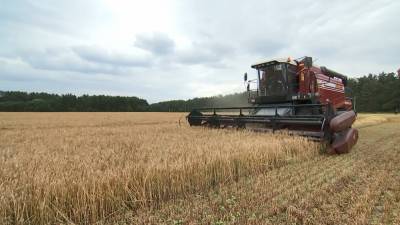 Уборка зерновых на полях Беларуси