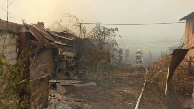 Пожары в Луганской области: спасатели рассказали, что происходит в регионе