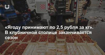 «Ягоду принимают по 2,5 рубля за кг». В клубничной столице заканчивается сезон