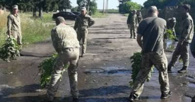 В Луцке военные выгребали воду из луж перед визитом Зеленского – СМИ