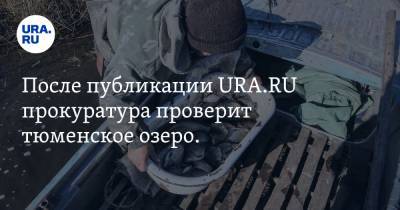После публикации URA.RU прокуратура проверит тюменское озеро. В нем массово гибнет рыба