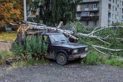 В Ярославле пронесшийся над городом ураган придавил деревьями несколько автомобилей