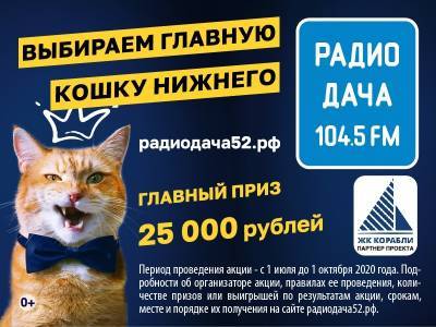 Главная кошка Нижнего Новгорода заработает 25 000 рублей
