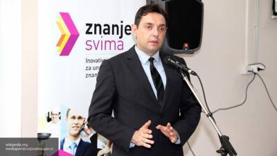 Вулин назвал протесты в Сербии попыткой развязать гражданскую войну