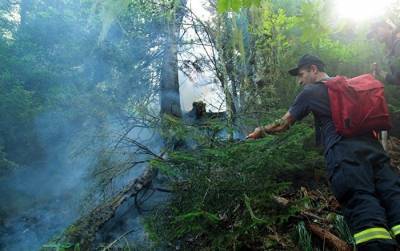 Лесные пожары в Сванети: с огнем борются сотни пожарных и вертолеты