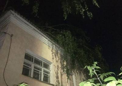 В Касимове дерево упало на жилой дом