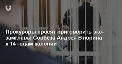 Прокуроры просят приговорить экс-замглавы Совбеза Андрея Втюрина к 14 годам колонии